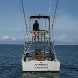 Vista frontal del Flamingo II