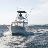 El Flamingo II en movimiento