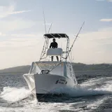 El Flamingo II a toda velocidad