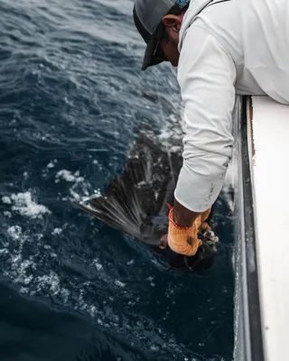Ocean fishing charter