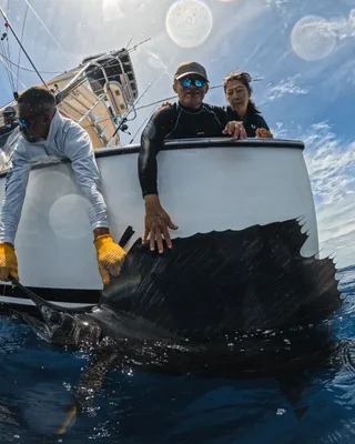 Tamarindo sportfishing charter in Guanacaste Costa Rica