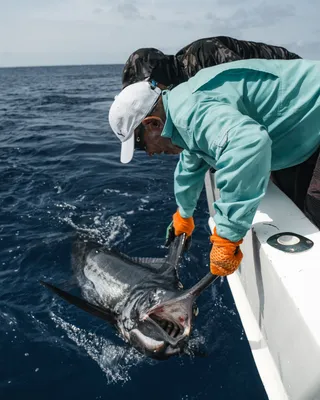 Tamarindo deep sea sportfishing expedition