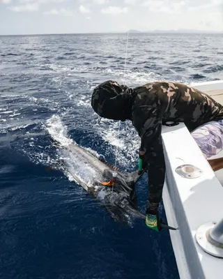 Guanacaste sportfishing trip in Tamarindo waters