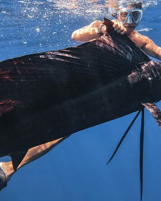 Successful Tamarindo sportfishing charter Guanacaste